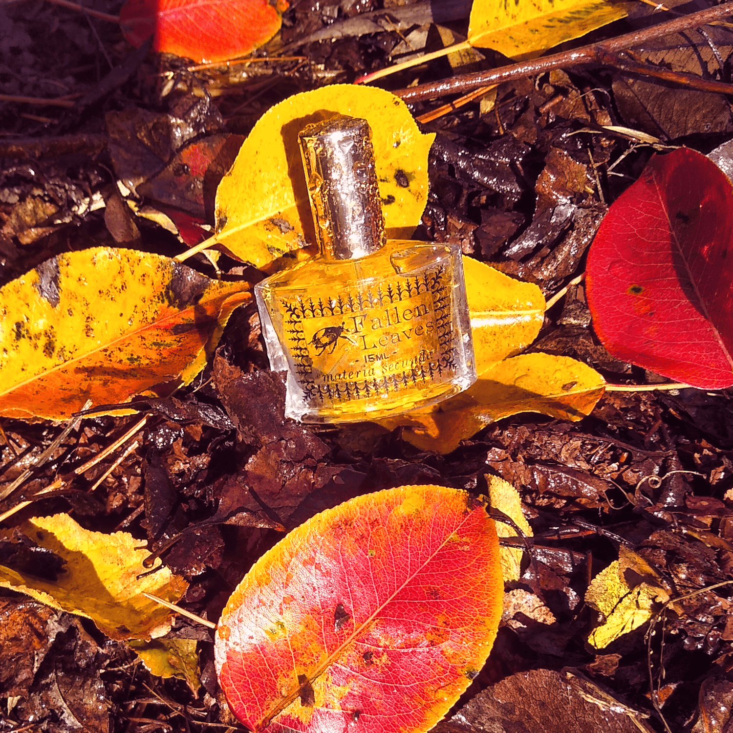 A bottle of perfume resting upon wet leaves